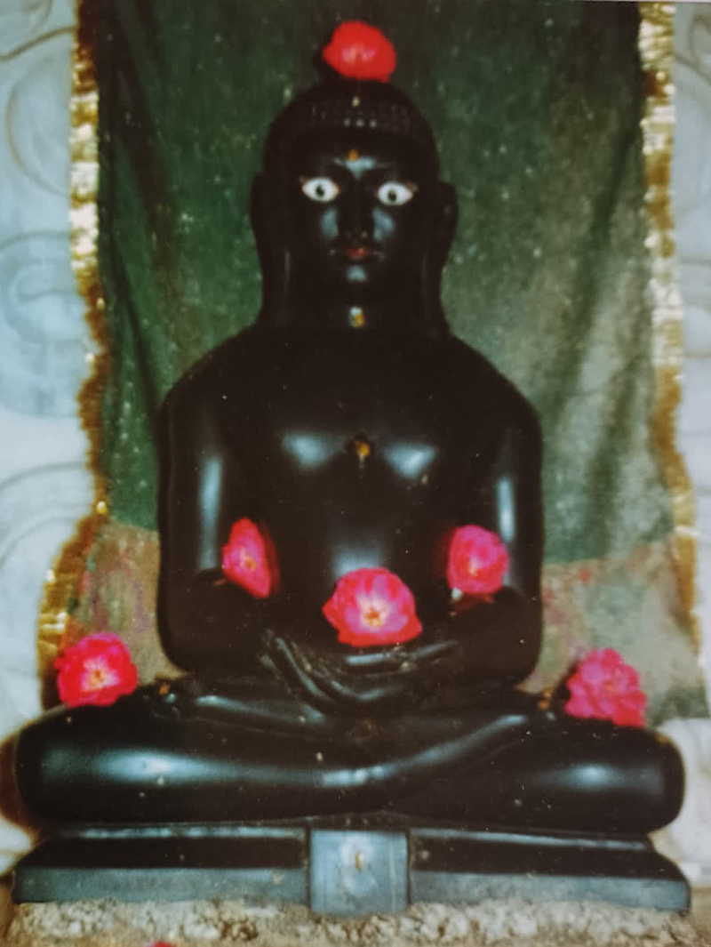 Shri Munisuvrath swami